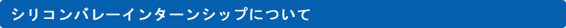 シリコンバレーインターンシップについて